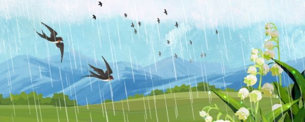 雨水天气暖和了吗 雨水时节天气特点
