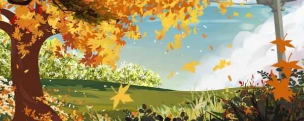 秋老虎为什么叫秋老虎 秋老虎后几天降温