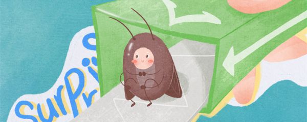 怎样除蟑螂快速有效 怎么除蟑螂最有效最快速