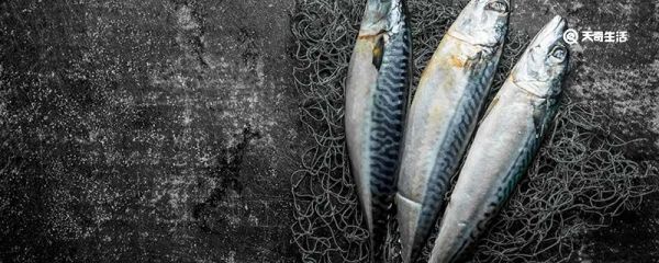 鲅鱼刺多吗 鲅鱼刺多不多