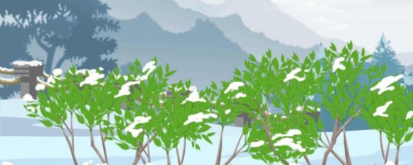 霜降一般都穿什么衣服了 霜降节气的含义是什么