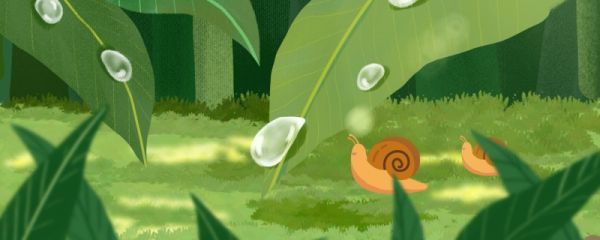 雨水节气温度是多少 雨水节气的自然现象