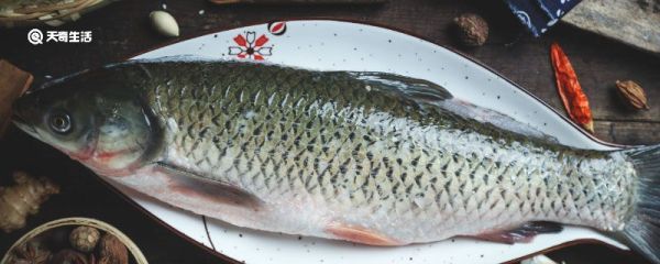 蒸鱼一般几分钟 蒸鱼要几分钟