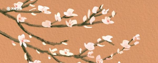 上海最古老的银杏树在哪里 上海古老的银杏树在哪里