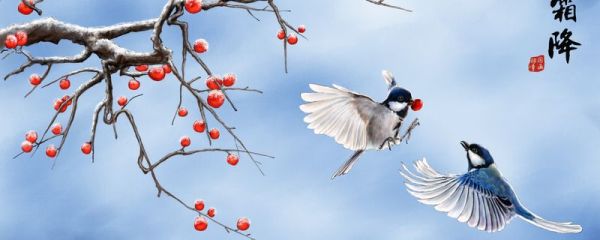 霜降问候语 霜降介绍