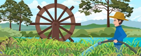 小满过后是初夏吗 小满节气气温一般多少度