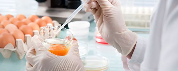 食品安全知识 食品安全知识有哪些