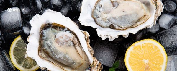 生蚝怎么清洗 生蚝怎样清洗