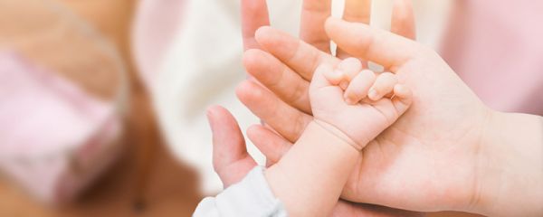 生命的由来 人类生命的由来