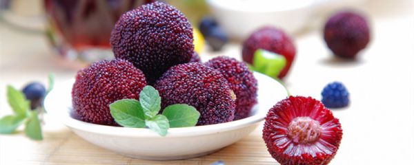 杨梅里的小白虫能吃吗 杨梅里的小白虫能不能吃