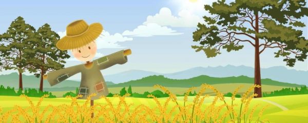 为什么要分小暑和大暑 小暑来临有哪些习俗