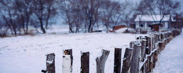 冬至吃饺子习俗 冬至吃饺子习俗是哪的