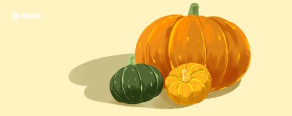 南瓜属于粗粮吗 南瓜是属于粗粮吗