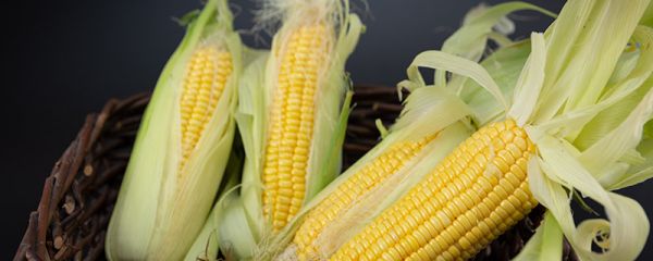 玉米要煮几分钟 煮玉米需要几分钟