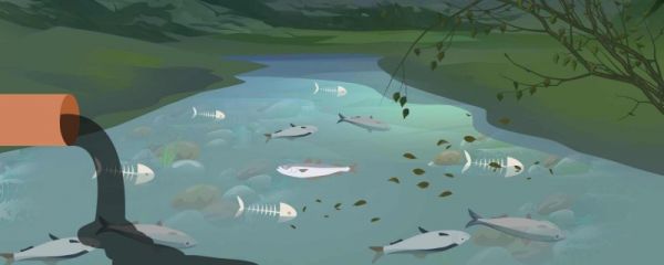 核污水的危害到底有多大 核污水排放大海多久可以净化