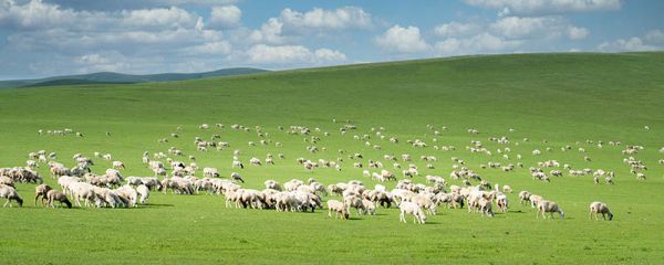 成吉思汗是哪朝的皇帝