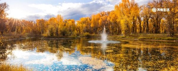 喊泉井原理 喊泉井是怎么回事