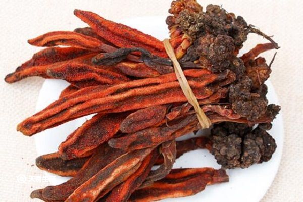 顶天柱的功效与作用 顶天柱主要有什么功效