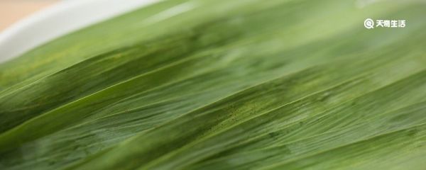 芦苇叶怎么保存 芦苇叶要怎么保存