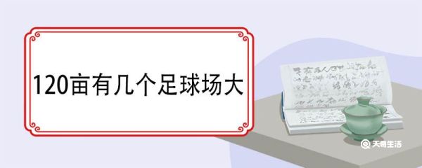 120亩有几个足球场大 亩是什么单位