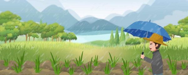 谷雨为什么吃擂茶 擂茶怎么做