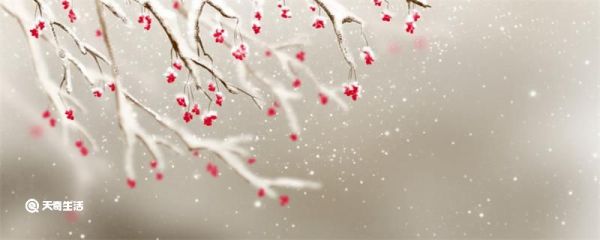 逆风如解意容易莫摧残什么意思 逆风如解意容易莫摧残什么意思全诗