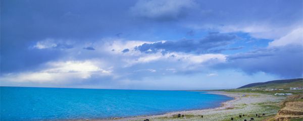 宁夏省会是哪个城市在哪里 宁夏的省会城市是哪里