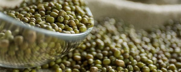 绿豆粥的热量 绿豆粥的热量高吗