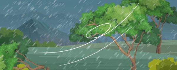 台风苏拉预计在哪登陆 台风苏拉降水预警