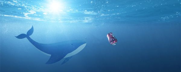 海洋垃圾对海洋生物的危害 海洋垃圾对海洋生物的危害有多大