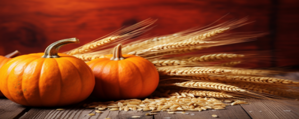 万圣节与南瓜有什么关系 万圣节南瓜灯的由来