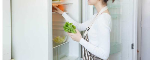 冰箱排行榜 冰箱排行榜有什么品牌