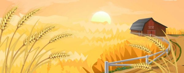 立秋后可以种什么菜 立秋前后农事注意事项