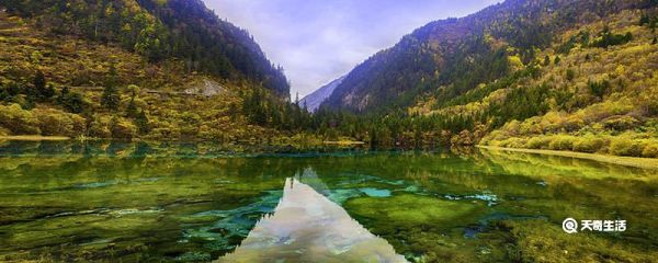 九寨沟在四川哪 九寨沟在四川什么地方