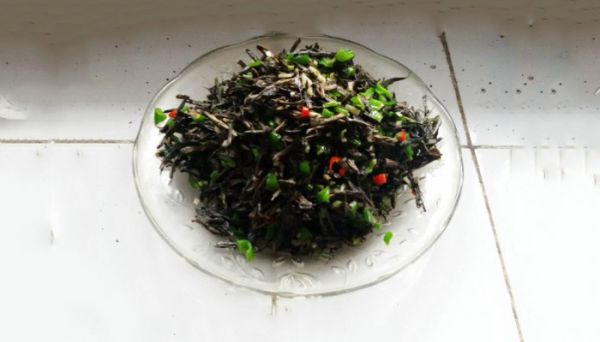 干巴菌炒出苦是啥原因 干巴菌为什么炒出苦