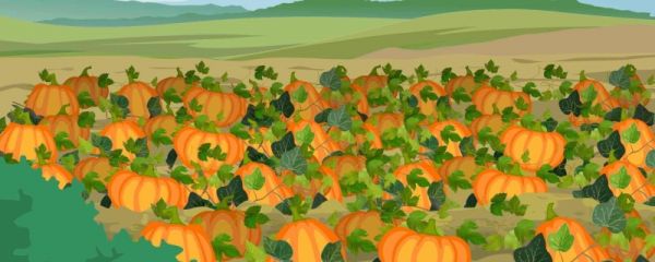 万圣节送什么礼物比较好 万圣节前夕一般做什么