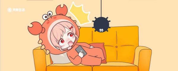 家里不脏为什么有蜘蛛 家里为什么有蜘蛛