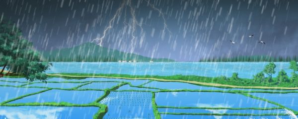 雨水节气是几月几日 雨水节气命名由来