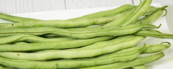 夏季新鲜豆角怎么保存不坏 豆角和什么搭配一起做菜好吃