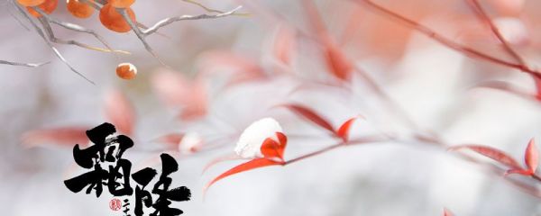 霜降祝福语 霜降三防