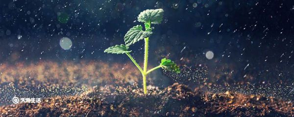 晴天气压高还是阴天气压高 晴天气压高还是阴天气压高呢