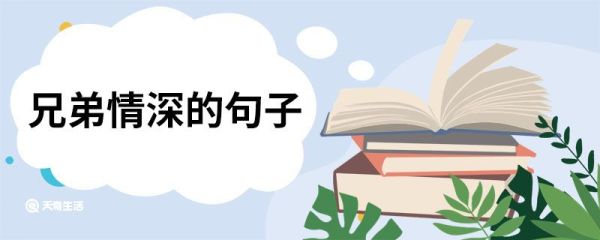 兄弟情深的句子 兄弟情深的句子有哪些