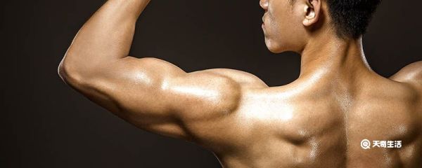 肌肉率怎么算 怎么算肌肉率