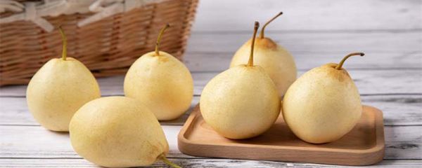 山西运城特产 山西运城特产小吃