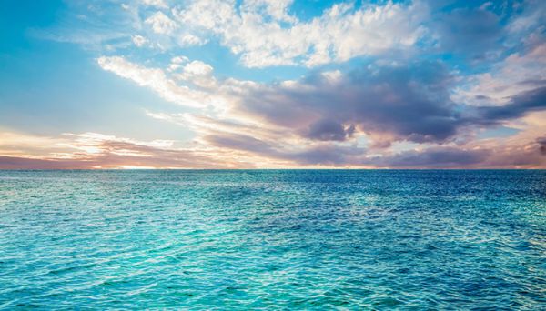 冷暖自知的前一句是什么 冷暖自知的前面一句