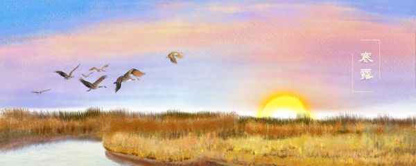 寒露是大寒吗 什么是大寒