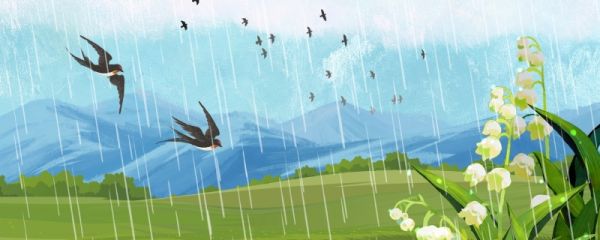 2024雨水几月几日