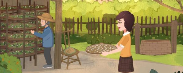 小满节气气温一般多少度 小满前后种什么农作物