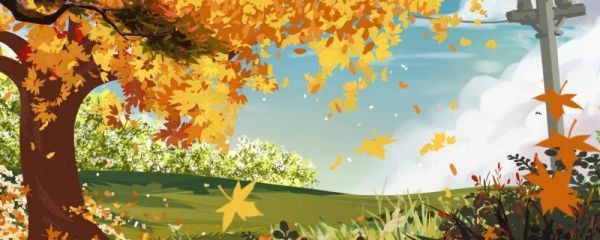 2023立秋是哪天 立秋多久凉快