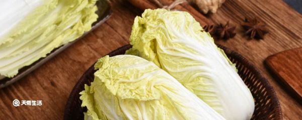 白露节气农村种什么作物？ 白露节气农村种什么作物